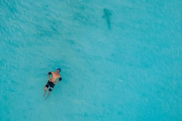 In to the Blue 